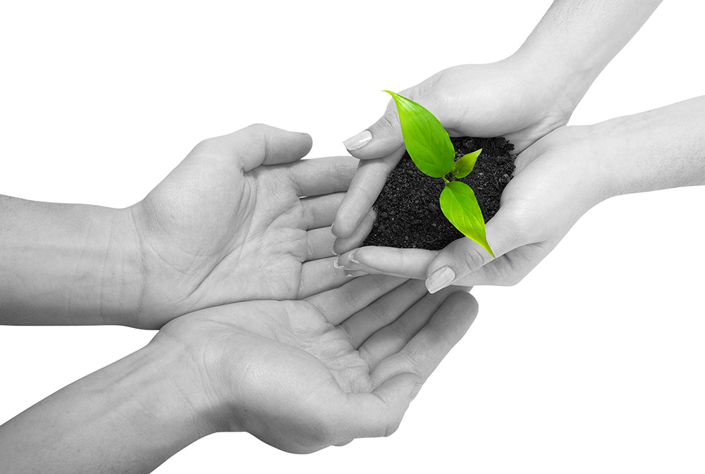 ip攻击器网页版ddos