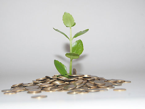 为您降本增效的在线网站攻击