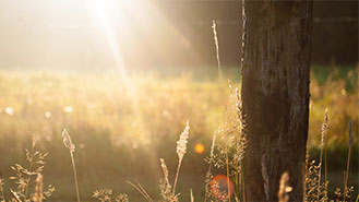 助您开拓市场的网页在线DDOS压力测试